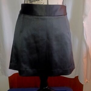 Nwt Express satin skirt 0